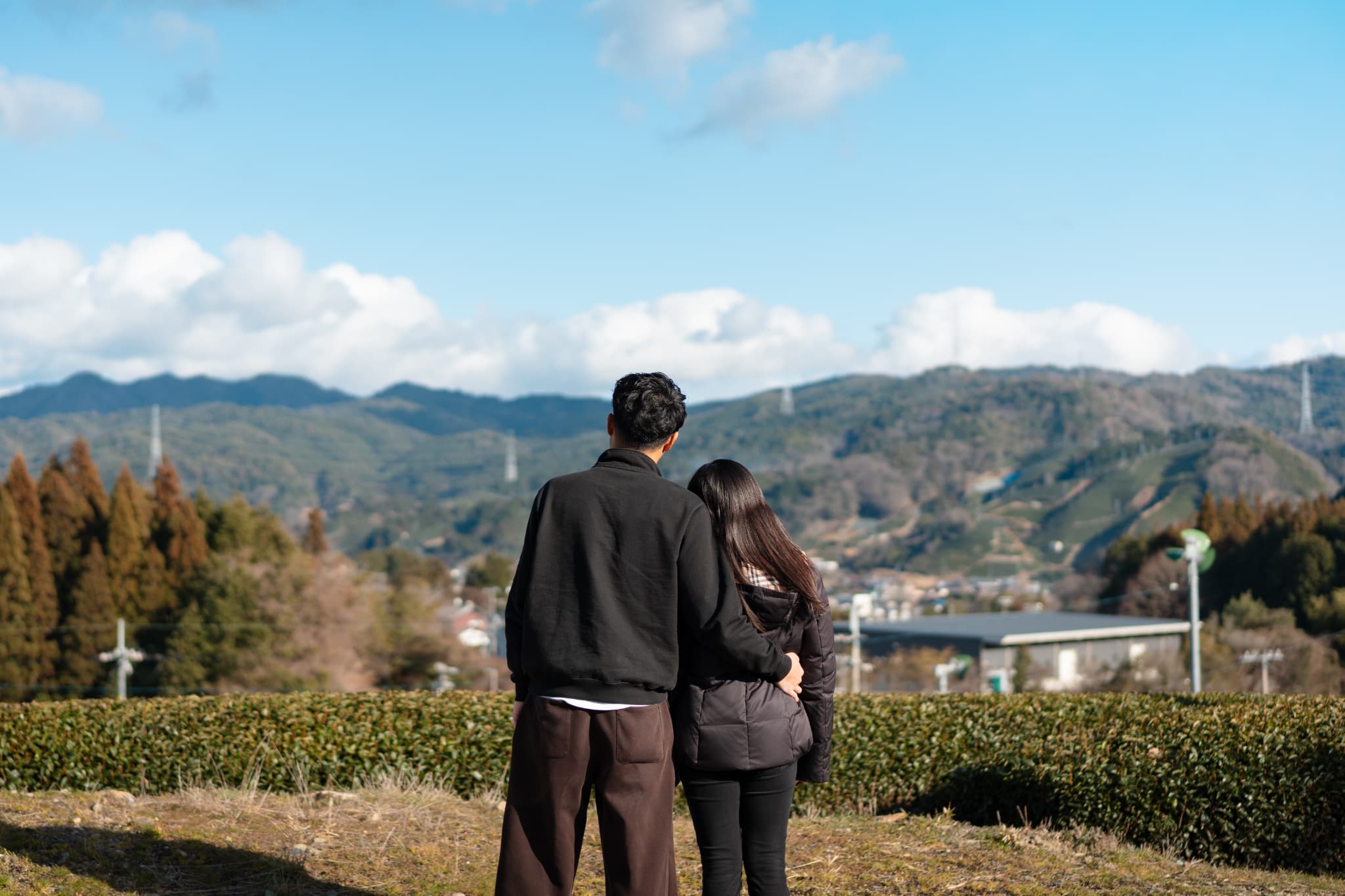 和束町の茶畑