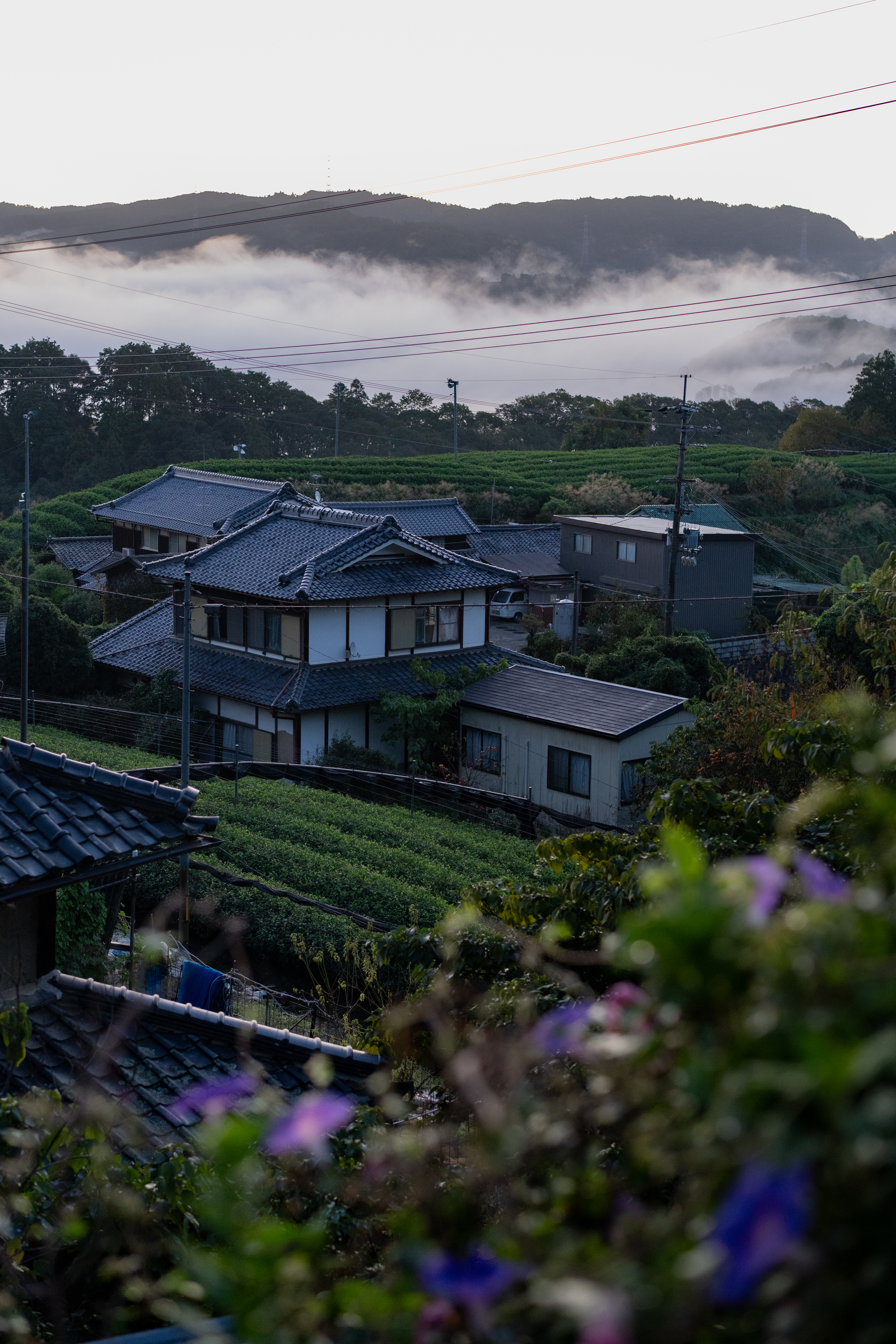 和束町の風景