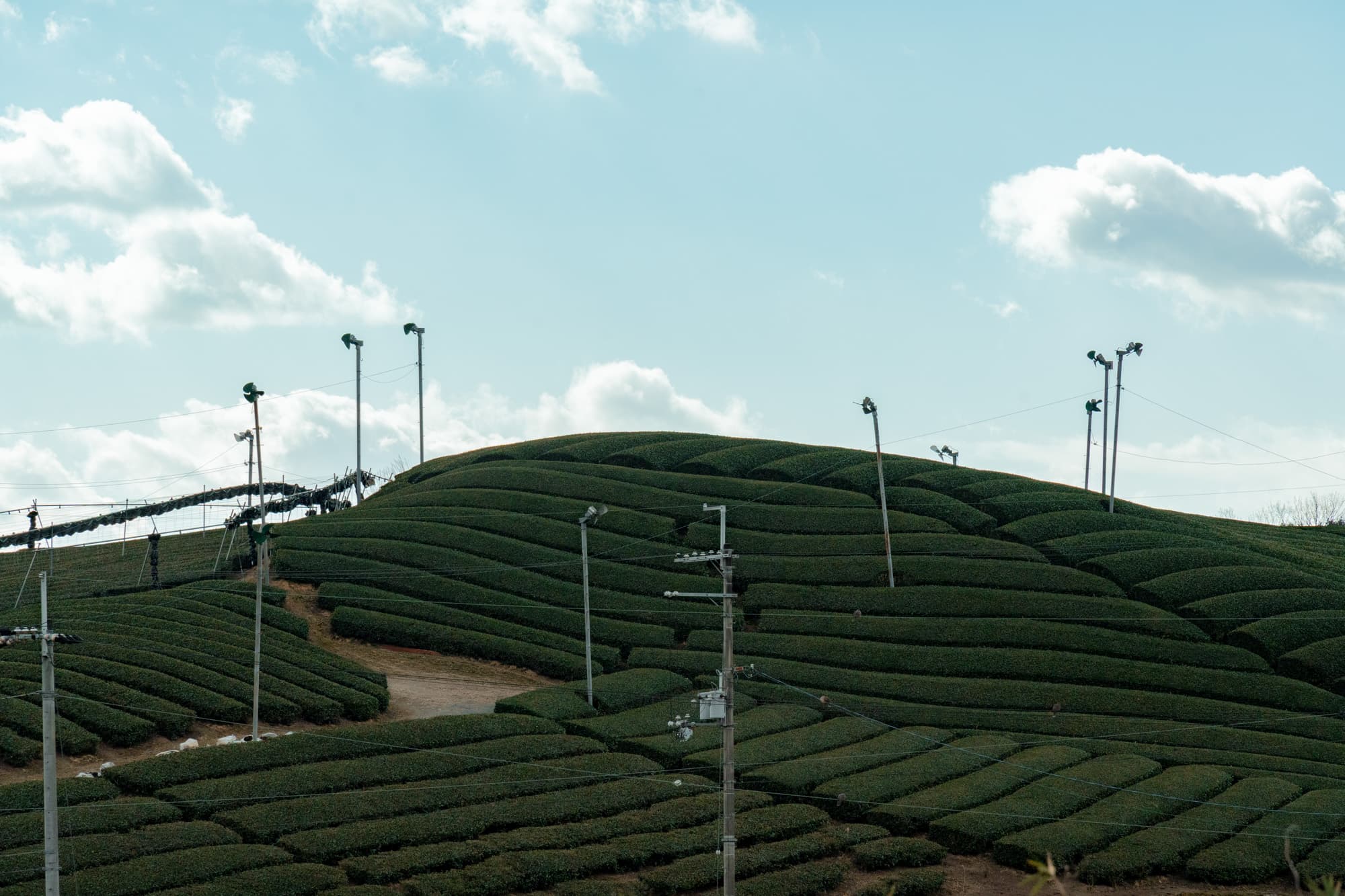 風景2